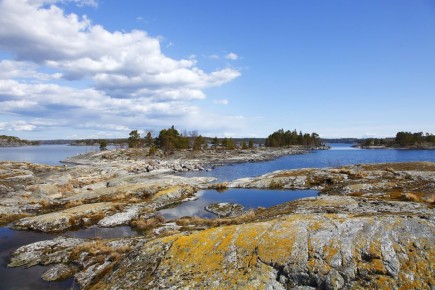 ������� � �������� �� ������: