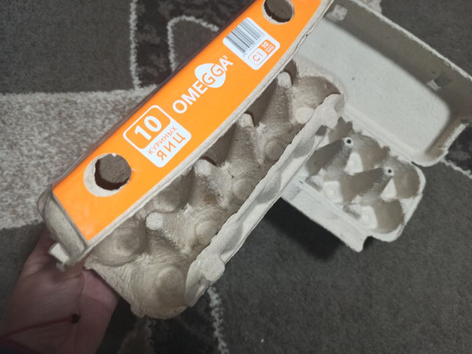 ��������� �������� �� ���: ����������� ���� ��� ������������� �������������