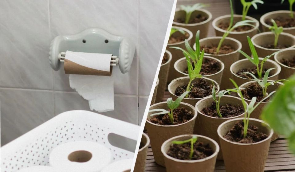 ��� ���������� ������������ � ��������: �������� � ���������� �������� ��� ������������