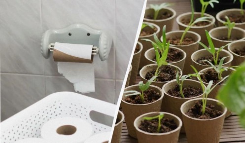 ��� ���������� ������������ � ��������: �������� � ���������� �������� ��� ������������