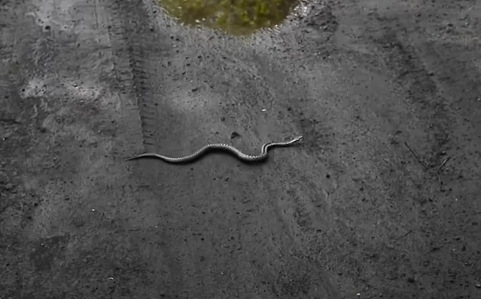 ����� � ���������� ����� ����� ������