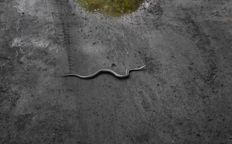 ����� � ���������� ����� ����� ������