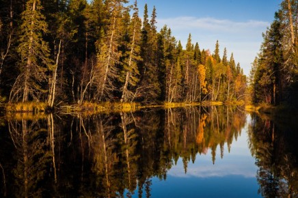 ������ ��������� ������� �������� � ���� ������ ������������ ����