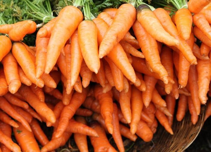 �������, ������ ���� ������� ����� ����� ������