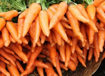 �������, ������ ���� ������� ����� ����� ������