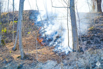 ��������: ����� ������ ��������������� �����