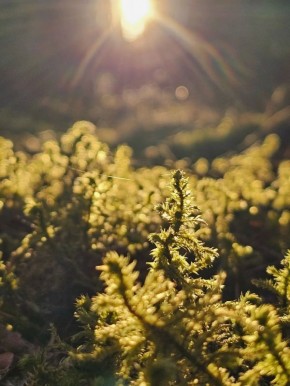 � ��������� ������. ���� ��������