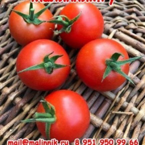 ����� ��� �������: ��� �������� ������ ������ ������������ ������ ��� ����������� �� �������