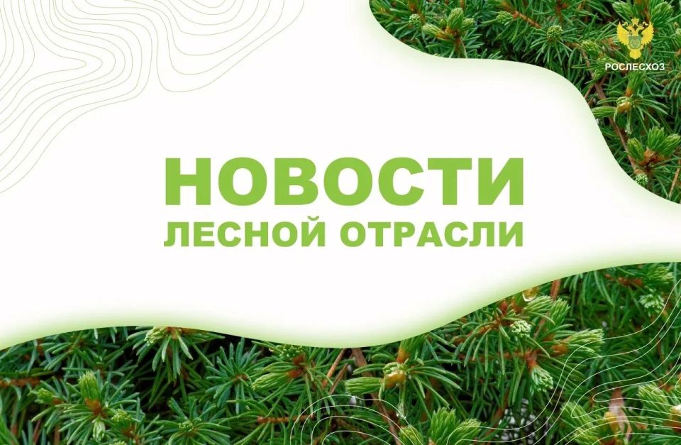AK&M: ���������: � ���������� ������� �������� 53 ����������-�������� ����������� ��������������