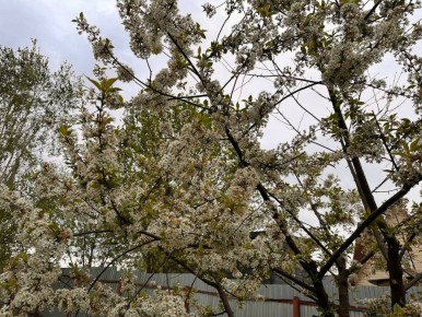 �������� ��������� ����: ��� �������� ��������