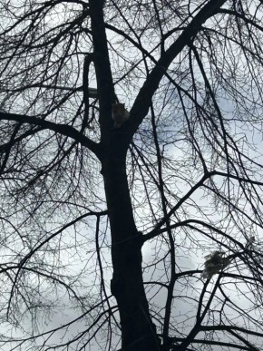 ������ ������� �� ���������� ������