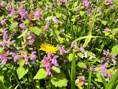 ������ ����, �������!. ������ ��� ������������� ������ ��������, �����������, ������� ��� � ����� ������ ����������! ������� � �������� ������� (�������� ��������������� ������ � ���� �����), t +6 - +14, ����� ���������...