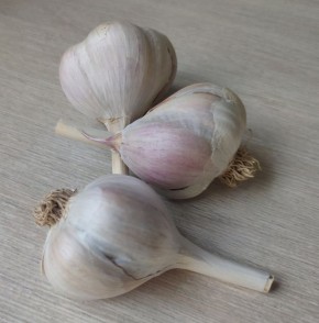 ��������� ������ ��������� �������: ��� � �������� �������� ����� �� �������