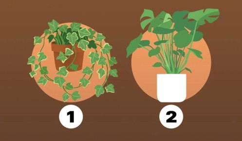 ��� ���� ���������� ��� ������ �� ����������� ���������� ������