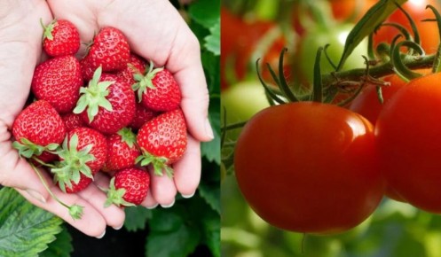 ���������� ����������: ��� ������ ����� ��������, ����� �������� ������