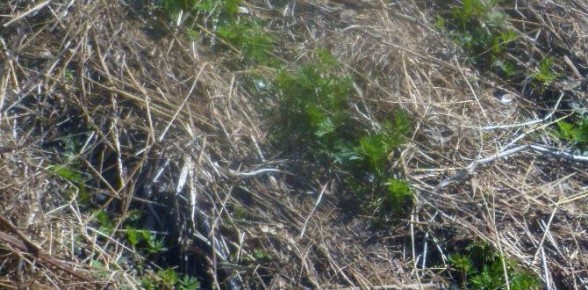 10 �������� ������� ��� ��������� �����������, ������� ������ ����� ������ �������