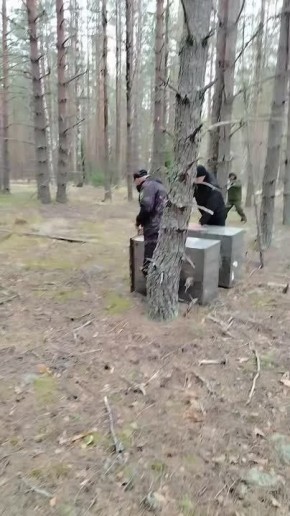 ����� �����������: ������� ������� �� ���������� ���������