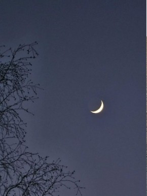 ������� �����. ���� ��������