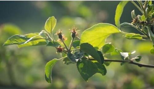 �������� ��������� ���� ����� ��������: ������� ��������� ������