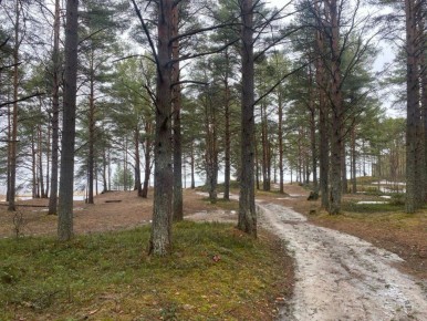 �������� � �������� ���� ������� ���� �� ���� ����������� � ������ ������������� ����