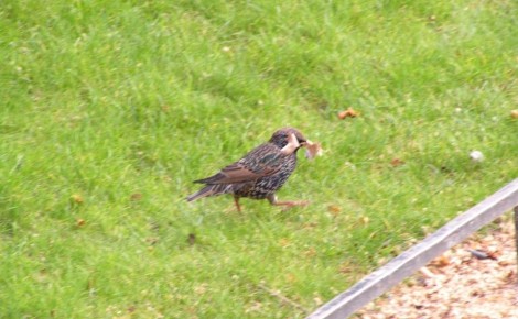 ������� � ����� ����: ��� ����� ������ ����� ������� � ������