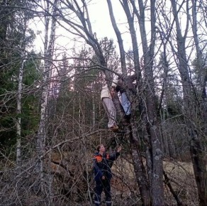 ������� ��� ���� ��������� �� ������� �� ������