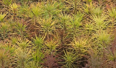 ������� � ������ ����� � ���