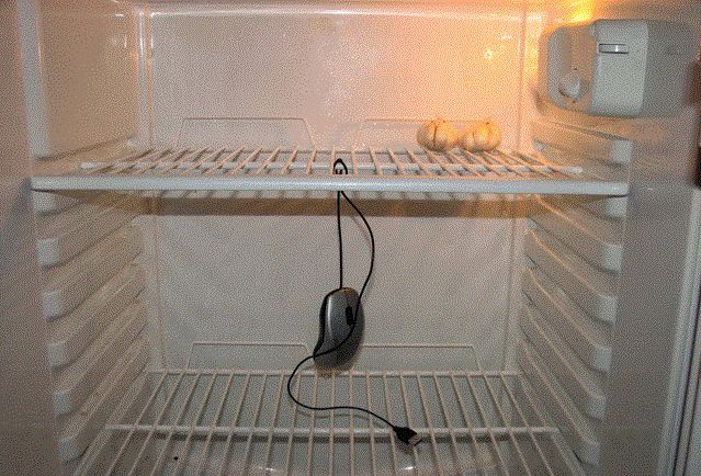 Как сохранить свежесть продуктов в холодильнике летом: советы экспертов