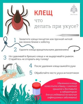 ��� ��� ����� ���. � ��� ������ ������� �� �������� �������� ����-������ �� �������