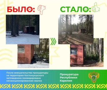 Карельская межрайонная природоохранная прокуратура провела проверку исполнения законодательства об отходах, по результатам которой выявила нарушения