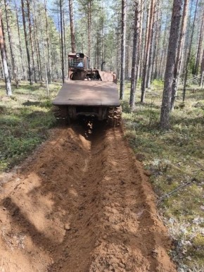 В Карелии в этом году обустроят 500 километров новых минерализованных полос для защиты лесов от пожаров