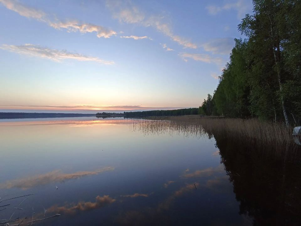 Фото Светланы Прохоровой