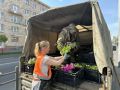 Колыхматова: Друзья! Мы начали высадку петуний в городе