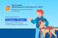 Успей принять участие в онлайн-олимпиаде!