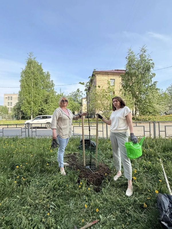 На территории школы №29 в Петрозаводске провели субботник На территории школы №29 в Петрозаводске провели субботник