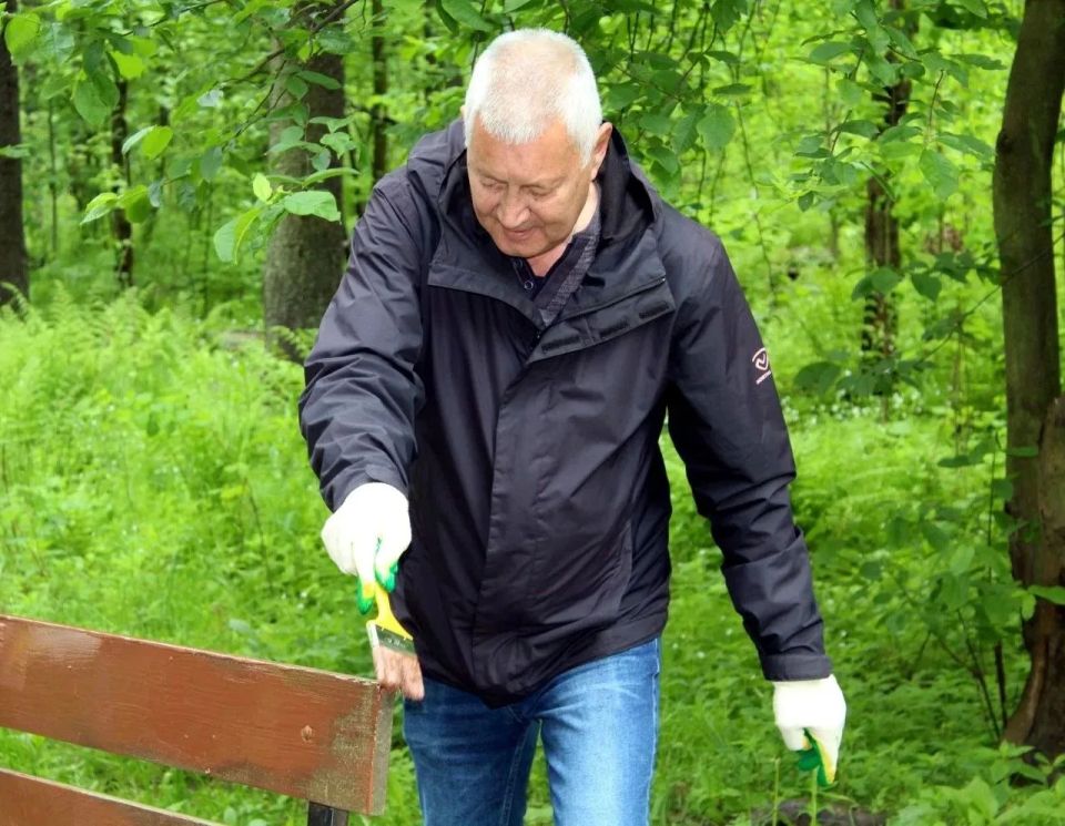 В парке «Лесной Ключ» в Петрозаводске обновили скамейки В парке «Лесной Ключ» в Петрозаводске обновили скамейки