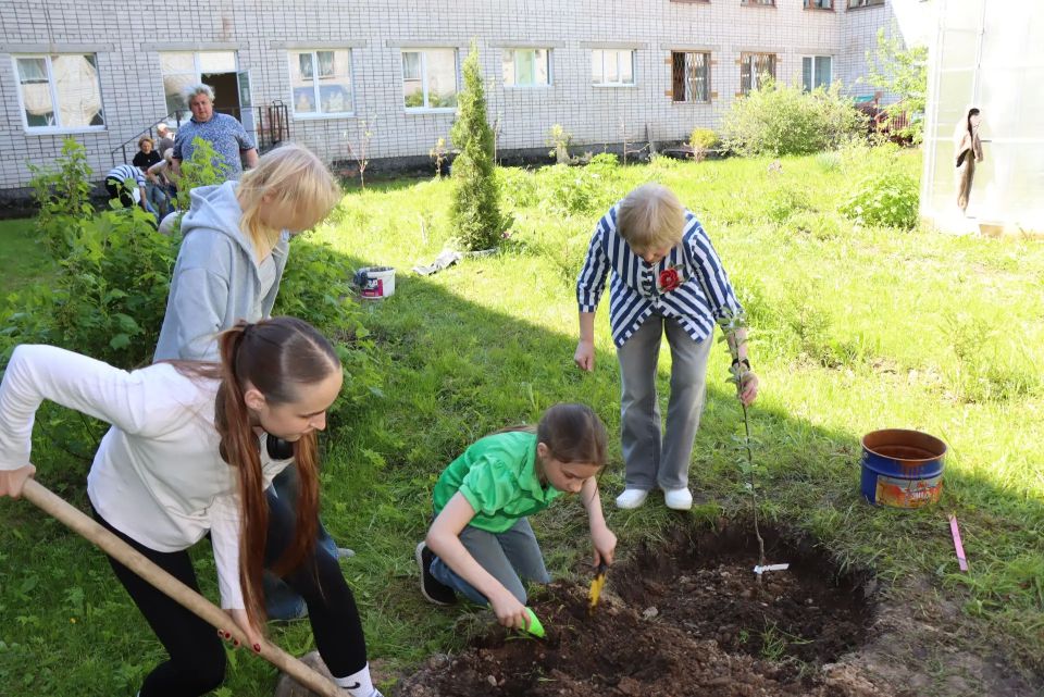 Первый в Карелии «Мичуринский сад» высадили в Ладве Первый в Карелии «Мичуринский сад» высадили в Ладве