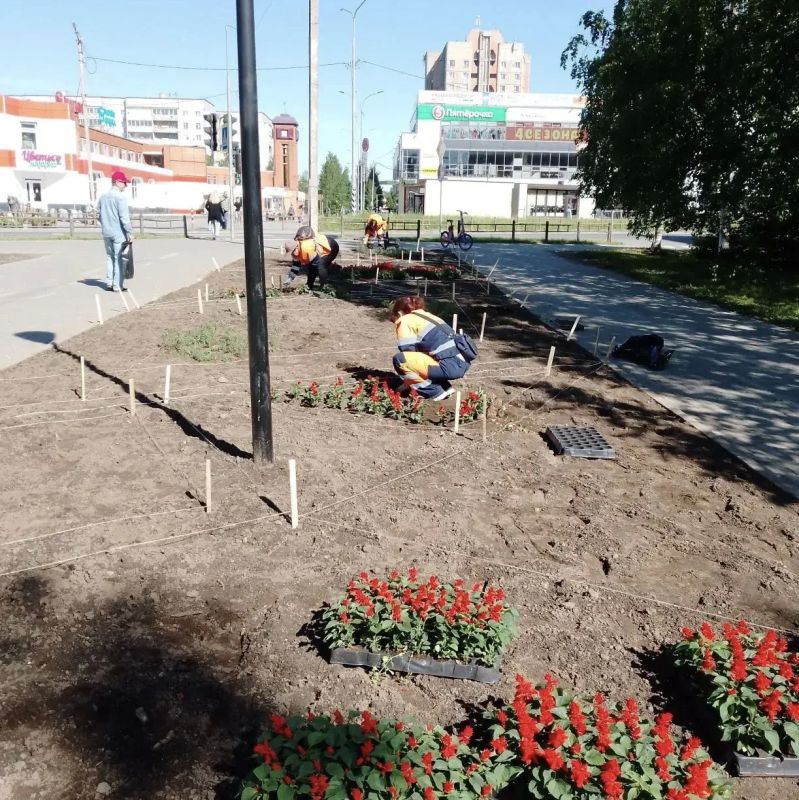 Колыхматова: Петуния, тагетис, сальвия, бегония… И это только начало! Делюсь первыми итогами цветочного сезона Колыхматова: Петуния, тагетис, сальвия, бегония… И это только начало! Делюсь первыми итогами цветочного сезона