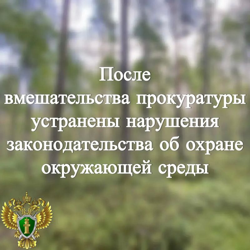 Карельская межрайонная природоохранная прокуратура провела проверку исполнения законодательства об охране окружающей среды
