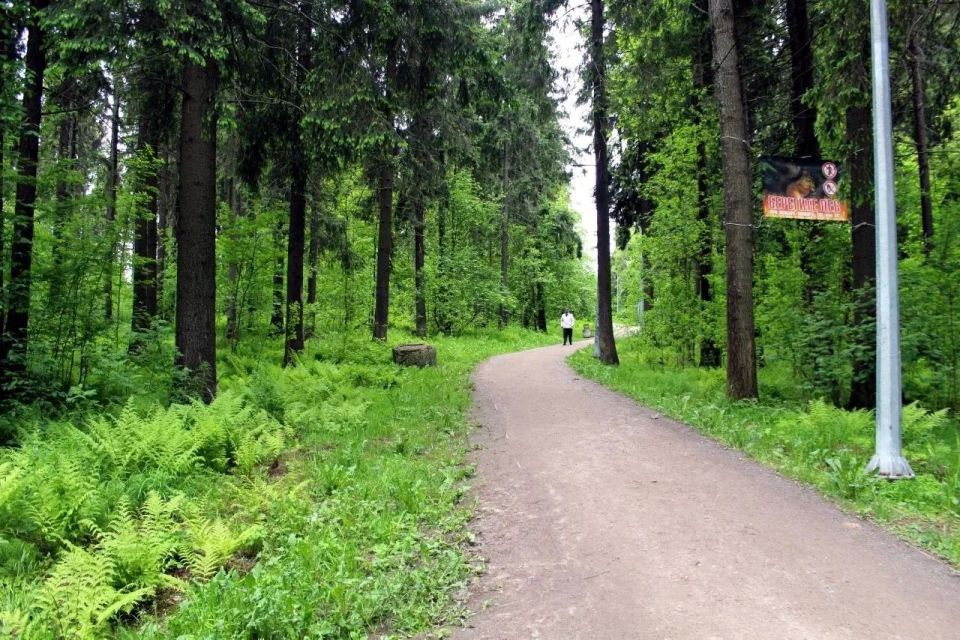 В парке «Лесной Ключ» в Петрозаводске обновили скамейки В парке «Лесной Ключ» в Петрозаводске обновили скамейки