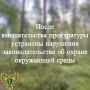 Карельская межрайонная природоохранная прокуратура провела проверку исполнения законодательства об охране окружающей среды