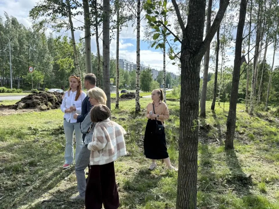 Колыхматова: В саду Памяти Героев обустраиваем новую пешеходную дорожку! Колыхматова: В саду Памяти Героев обустраиваем новую пешеходную дорожку!
