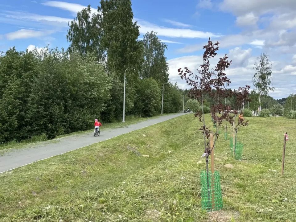 Колыхматова: В саду Памяти Героев обустраиваем новую пешеходную дорожку! Колыхматова: В саду Памяти Героев обустраиваем новую пешеходную дорожку!