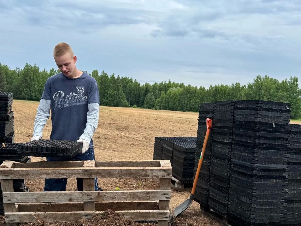 Молодёжь в деле!. Летние трудовые будни в лесном селекционно-семеноводческого центре «Вилга» идут полным ходом Молодёжь в деле!. Летние трудовые будни в лесном селекционно-семеноводческого центре «Вилга» идут полным ходом