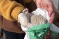 Польза костной муки: идеальное удобрение для вашего сада