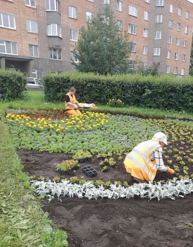Колыхматова: Продолжаем высаживать цветы в любимом городе! Колыхматова: Продолжаем высаживать цветы в любимом городе!