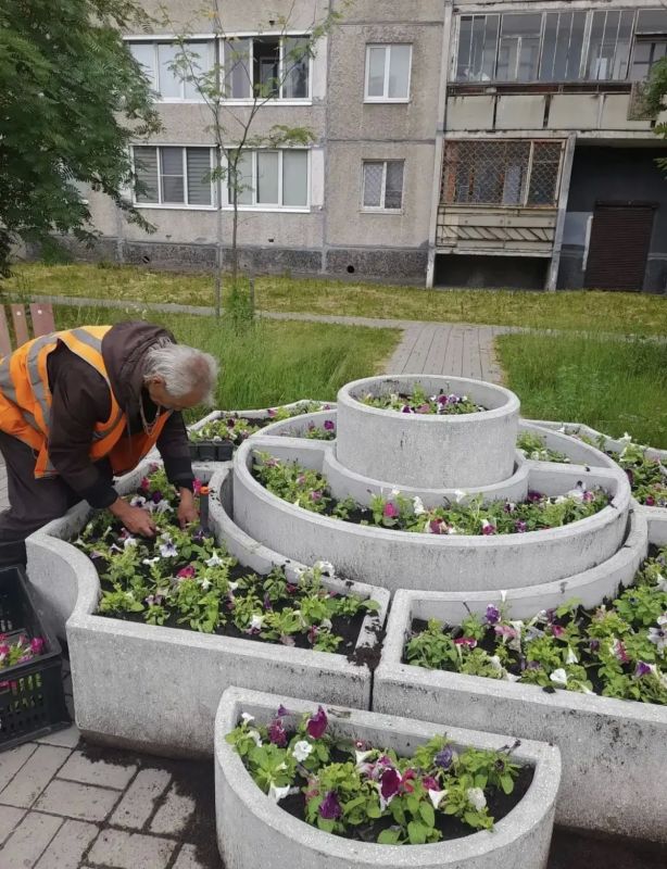 Колыхматова: Продолжаем высаживать цветы в любимом городе! Колыхматова: Продолжаем высаживать цветы в любимом городе!