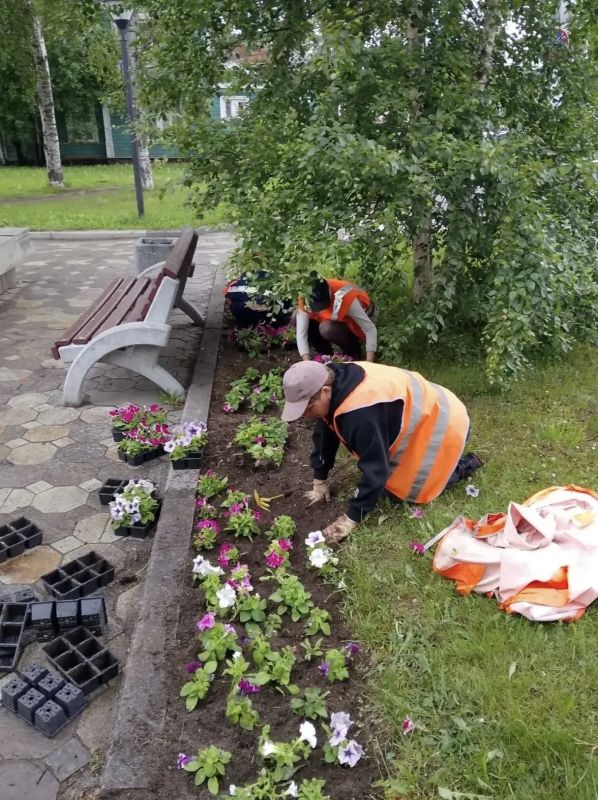 Колыхматова: Продолжаем высаживать цветы в любимом городе! Колыхматова: Продолжаем высаживать цветы в любимом городе!