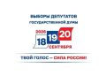 Выборы в сентябре пройдут в течение трех дней