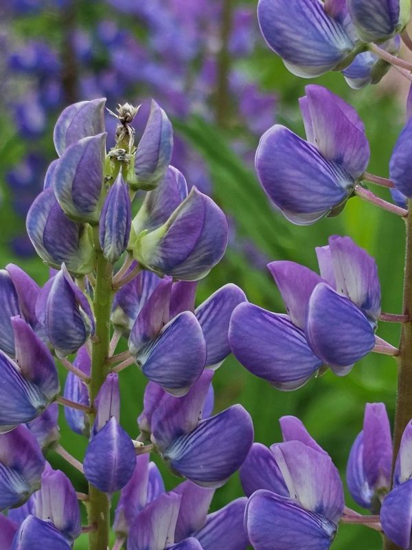Фото Марии Ореховой